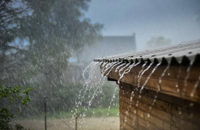 Read more about the article Ways to use your rainwater tank!
